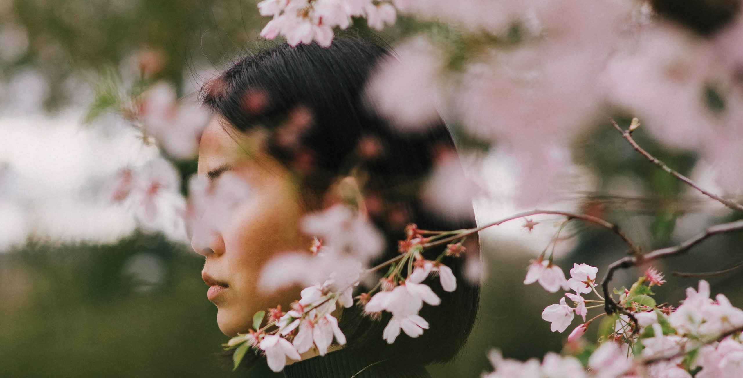 Obaitori get free from comparison japanese woman dark hair cherry blossoms